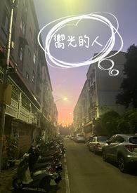 向光性 歌词