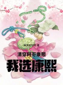 清穿女主康熙阿哥都爱她