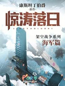 惊涛落日无弹窗