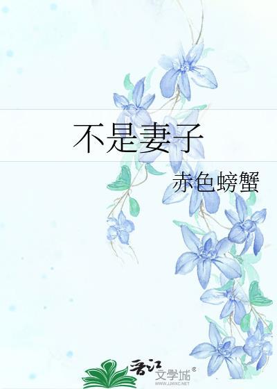 不是老婆的老婆什么意思