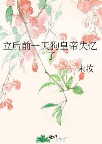 立后前一天狗皇帝失忆了TST