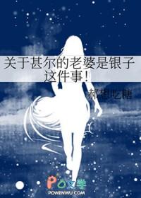 关于甚尔的老婆是银子这件事29