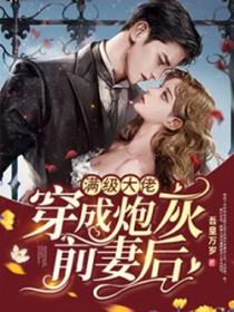 满级大佬穿成炮灰后晋江