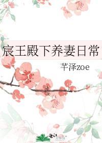 男主叫宸王