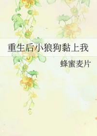 重生后我和小狼狗he了