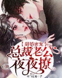 甜婚蜜宠总裁老公夜夜宠