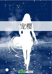 宠樱晋江