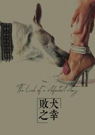 败犬by二