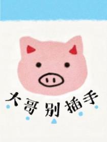 大哥别弄了