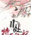 11处特工皇妃(特工皇妃楚乔传原著)