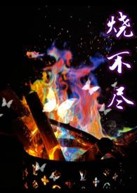 烧不尽(1v1)作者  utopia