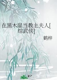 在黑木崖当教主夫人综武侠
