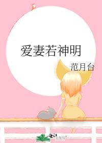 爱妻若神明完整免费全文阅读