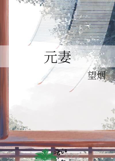 元妻百度