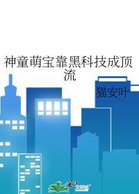 神童幼崽爱发明78章