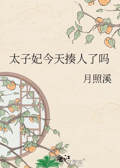 太子妃今天揍人了吗百度资源