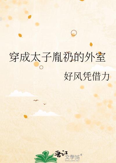 穿越太子胤礽讲的什么