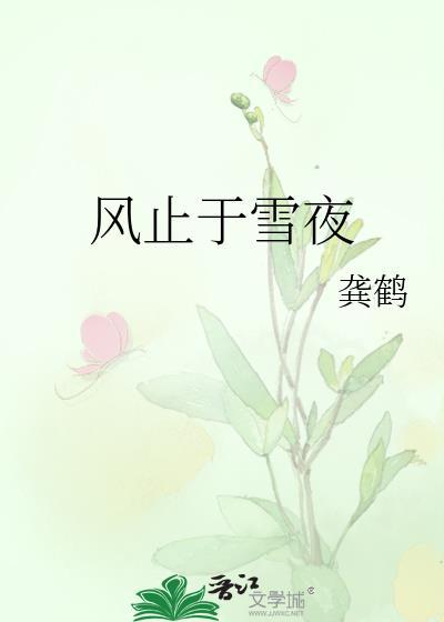 风止于雪夜龚鹤txt