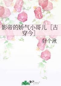 影帝的娇气小哥儿古穿今全文