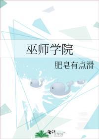 巫师什么学派