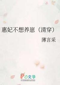 清穿 惠妃