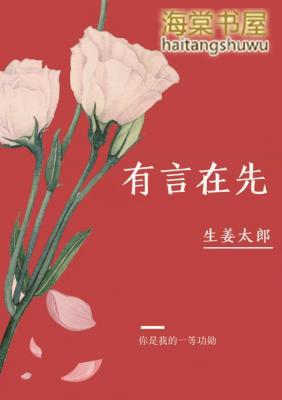 有言在先简介