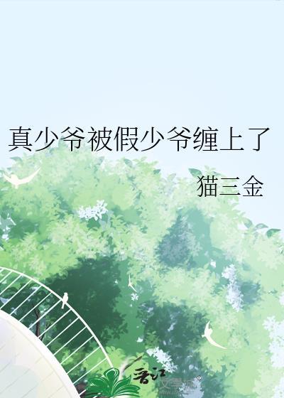 真少爷和假少爷在一起
