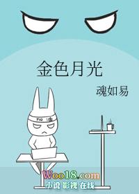 金色月光连锁