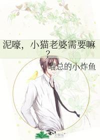 给猫咪找个媳妇