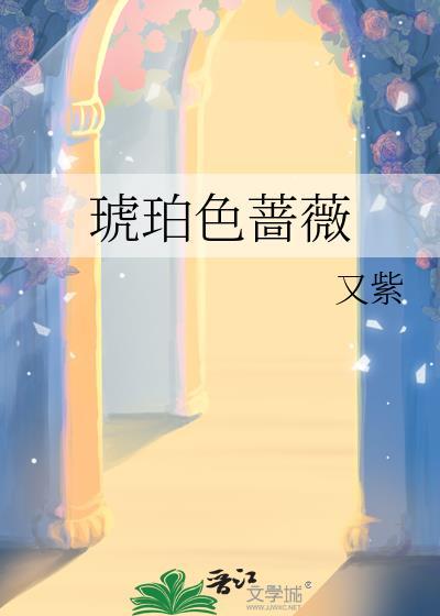 琥珀色のハンタ简介
