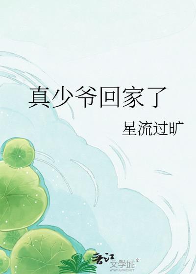 真少爷回家了TXT全本免费阅读