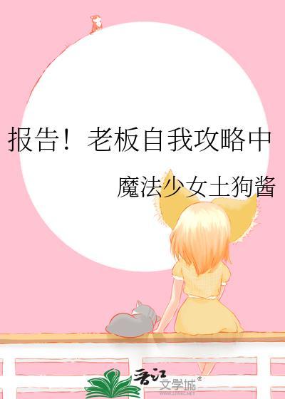 报告老板第四集