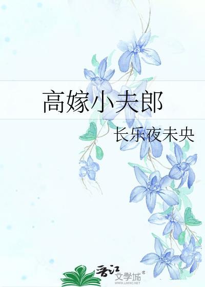 高嫁小夫郎长乐夜未央
