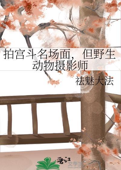 野生动物摄影师怎么赚钱