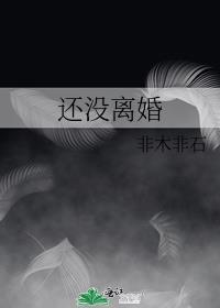 还没离婚就和别人在一起犯法吗