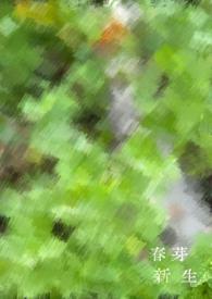 新芽官网登录