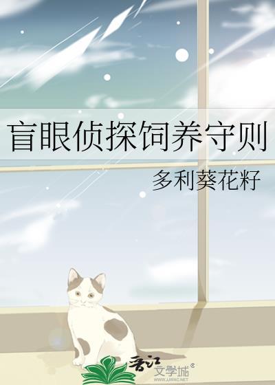 盲探探案记