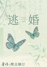 逃婚后去往何处笔趣阁