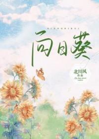 向日葵7月29日主力资金净卖出