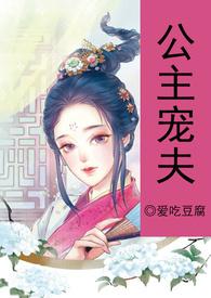 公主宠夫记重生