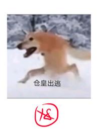 沦为废物后的嚣张仙子完整版