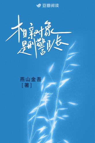 相亲对象刑警队长txt百度