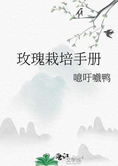玫瑰怎么栽培