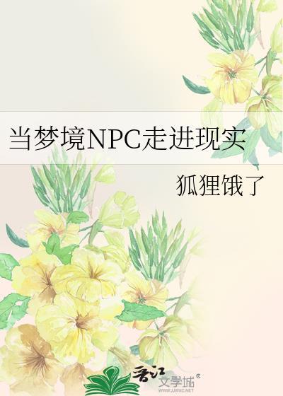 当梦境NPC走进现实TXT