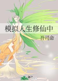 模拟 人生
