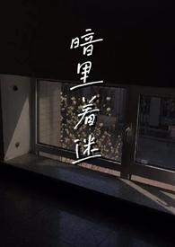 暗里着迷txt