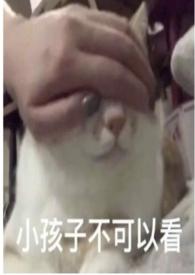 圈养免费阅
