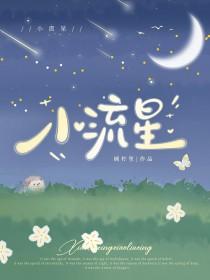 向流星许愿的我们免费观看完整版
