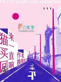 小猫咪买回来一直叫
