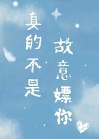 真的不是故意你by闪烁的星完整